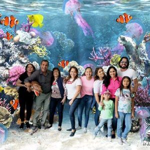 Meet your Posher, Ronald